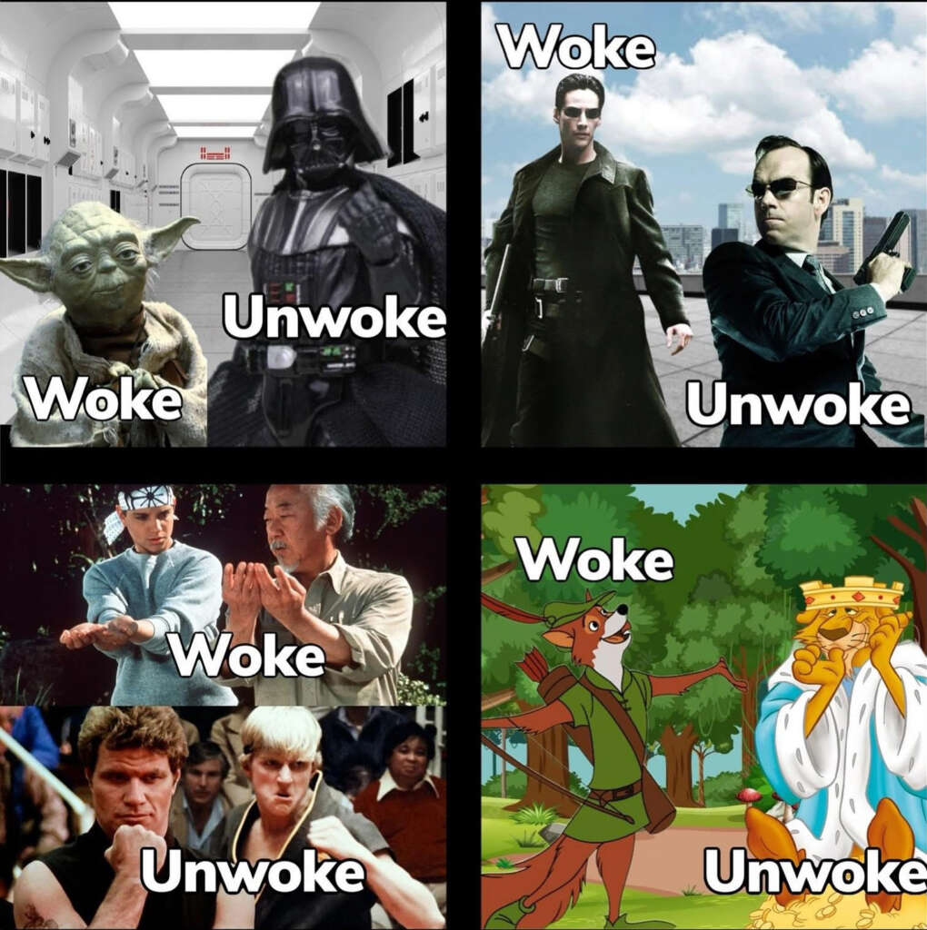 A handy guide to wokeness