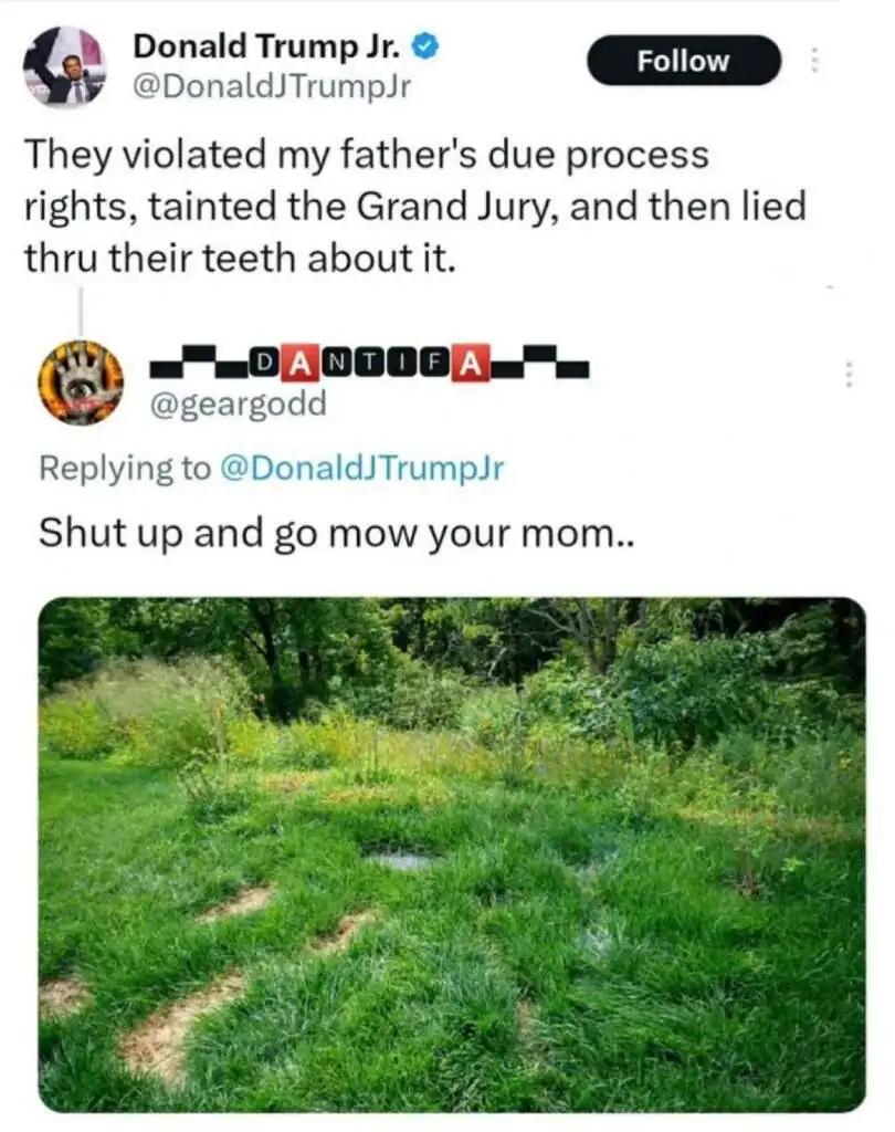 Mow your mom
